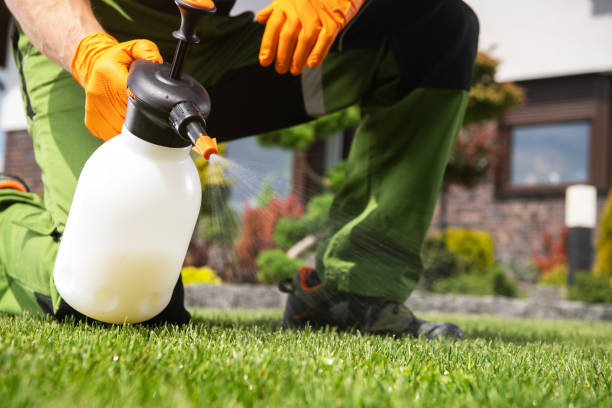 Best Best Pest Control Companies  in Eldora, IA