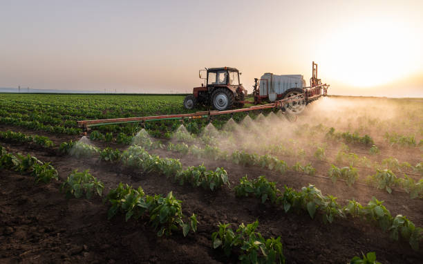 Best Exterminator Services  in Eldora, IA