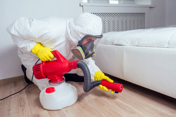 Best Pest Prevention Services  in Eldora, IA