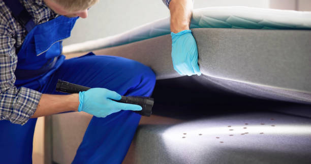 Best Flea Control Services  in Eldora, IA